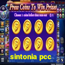 sintonia pcc